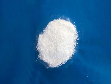 無水91视频APP官网